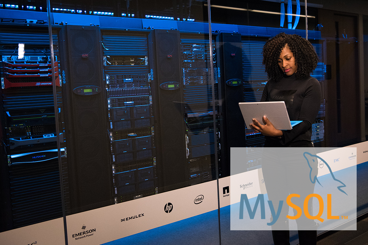 MySql - Les requêtes de base de données